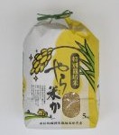 新生児のお母さんに知っておいて欲しい母乳と粉ミルクについて